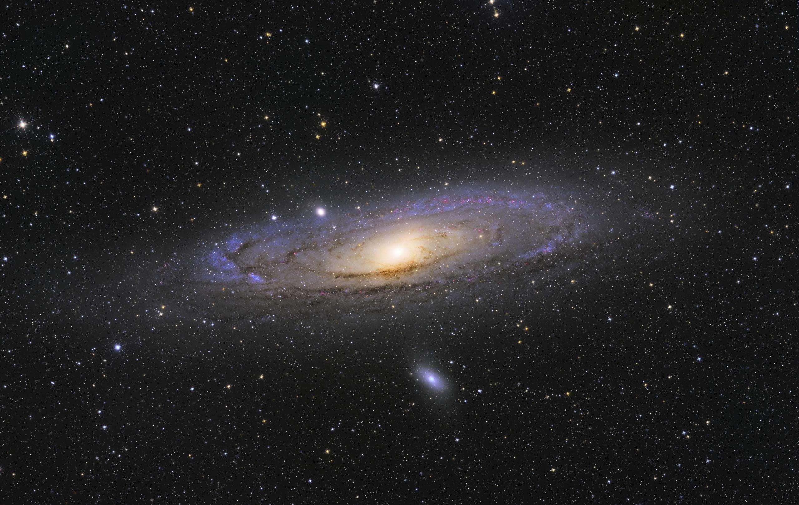 M31